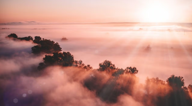 “我们还处于早期阶段”：摩根士丹利的实习生调查显示，人们对加密货币的兴趣落后于人工智能和机