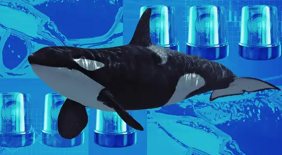 比特币巨鲸再次转移 11 亿美元 BTC 并恢复购买 ETH